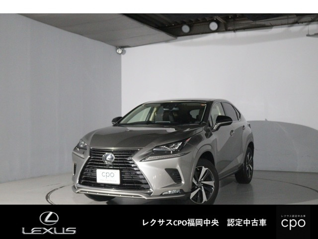 NX300