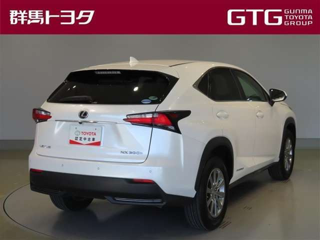 NX300h Iパッケージ