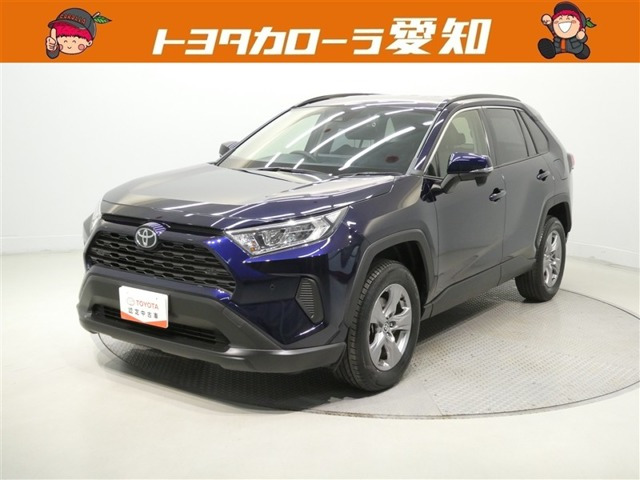 RAV42.0 X