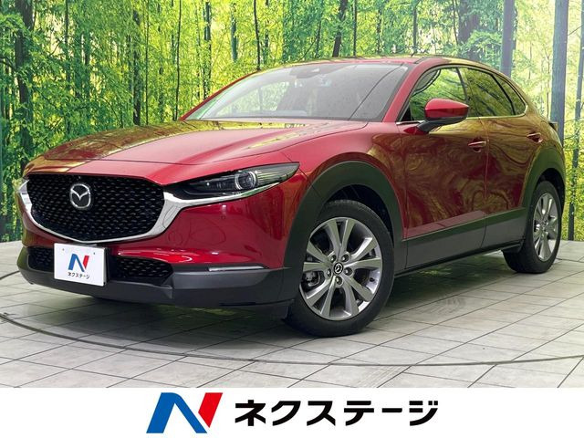 CX-301.8 XD プロアクティブ ツーリングセレクション