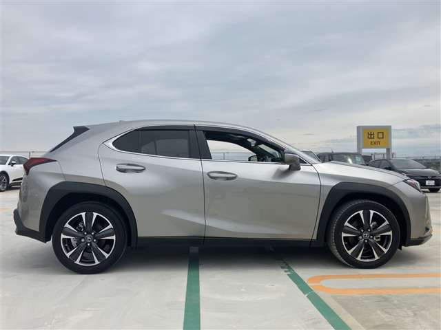 UX250h バージョンL
