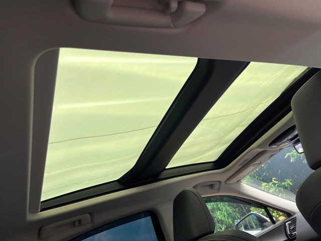 NX250 バージョンL