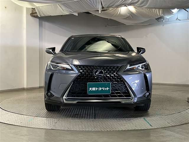 UX250h バージョンC