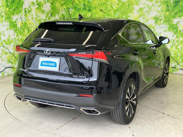 NX300 Fスポーツ