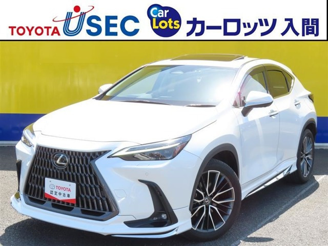 NX250 バージョンL