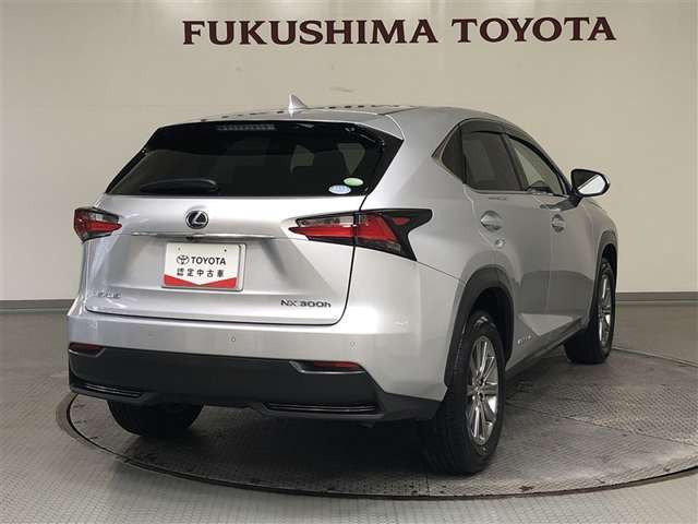 NX300h Iパッケージ