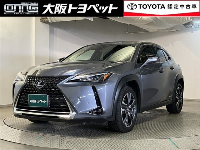 UX250h バージョンC