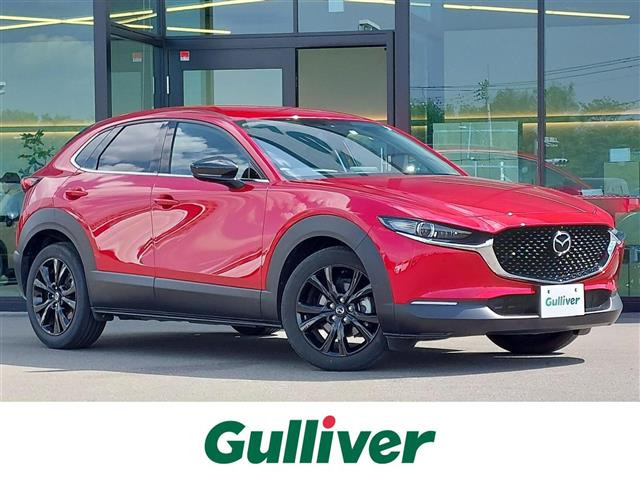 CX-301.8 XD ブラックトーンエディション