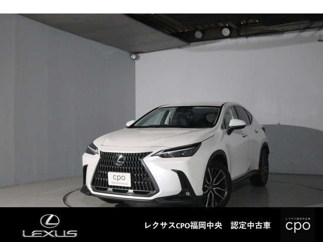 NX
