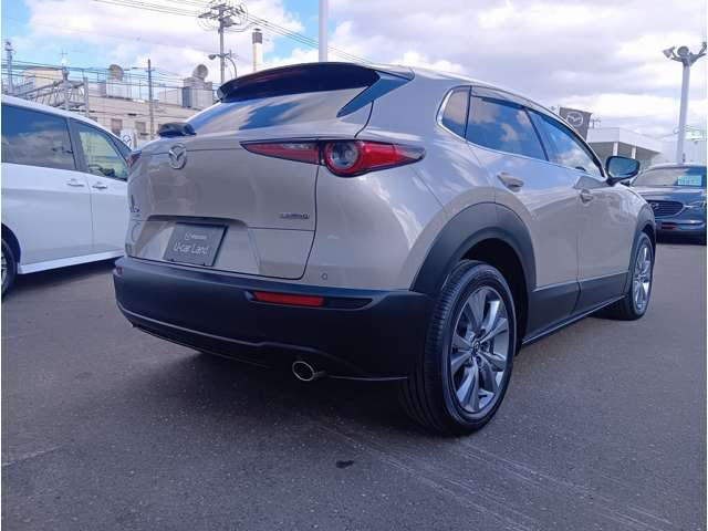 CX-30