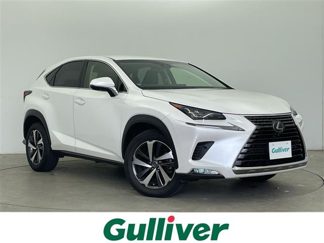 NX300 Iパッケージ