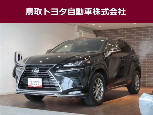 NX300
