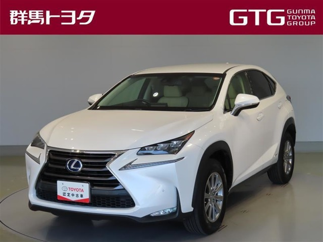 NX300h Iパッケージ