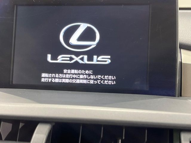 NX300h Fスポーツ