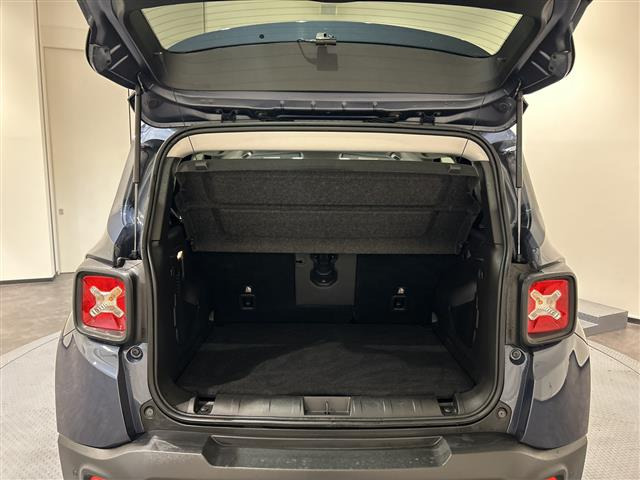 レネゲードリミテッド