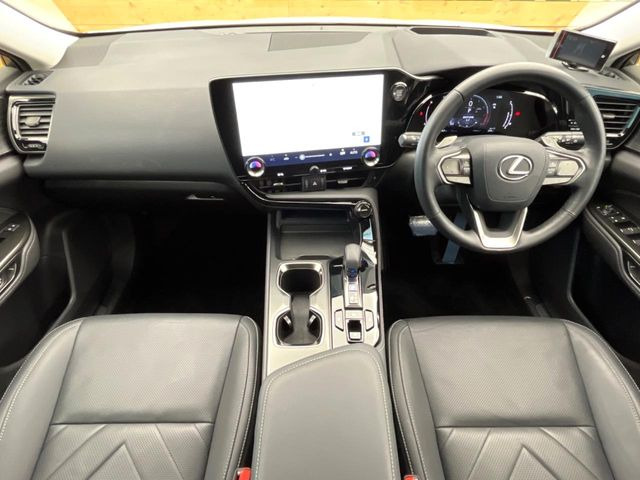 NX250 バージョンL