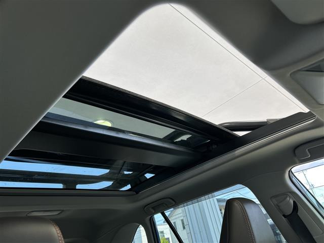 RAV42.5 ハイブリッド アドベンチャー E-Four 4WD