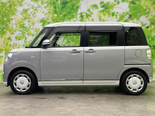 ムーヴキャンバスG メイクアップ SAIII