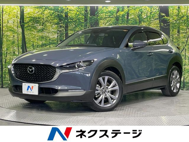 CX-301.8 XD Lパッケージ