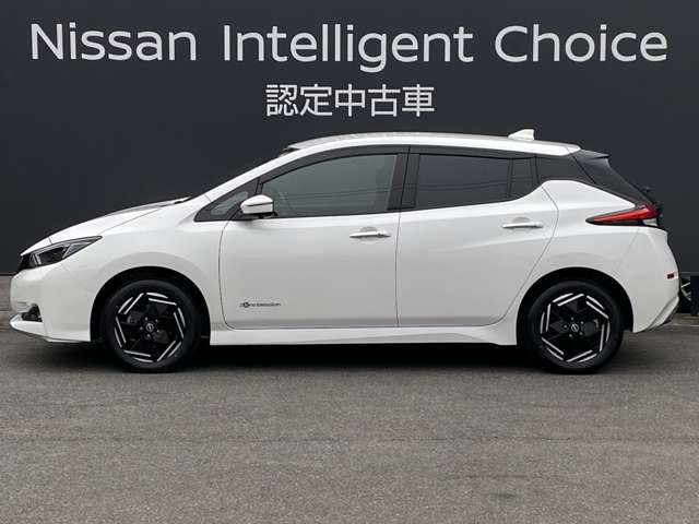 リーフe+ X