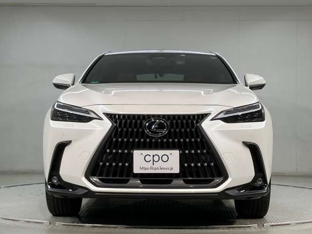NX350h バージョンL 4WD