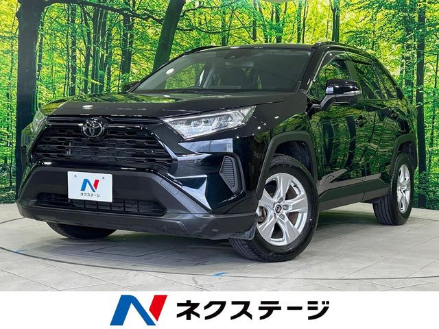 RAV42.0 X