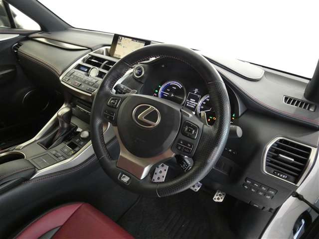 NX300h Fスポーツ