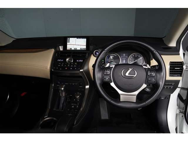 NX300h バージョンL