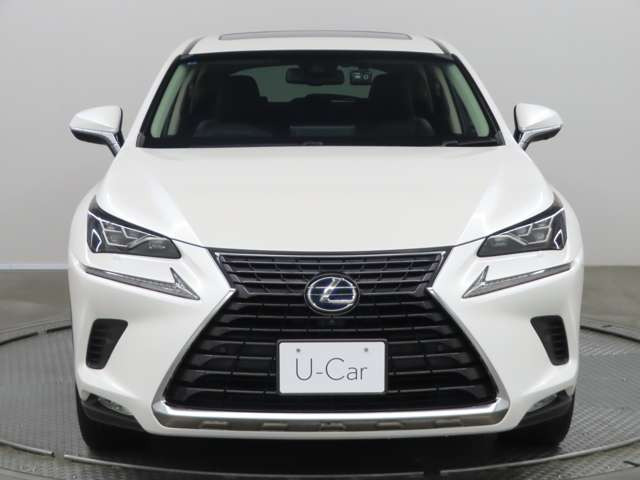 NX300h バージョンL 4WD