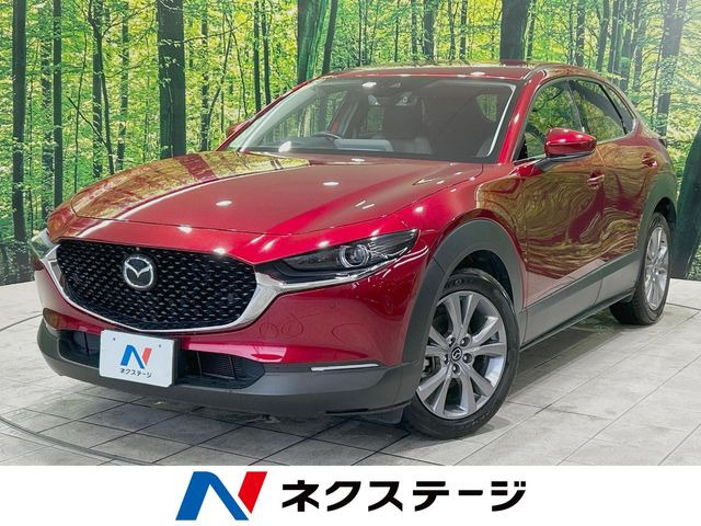 CX-302.0 20S プロアクティブ ツーリングセレクション