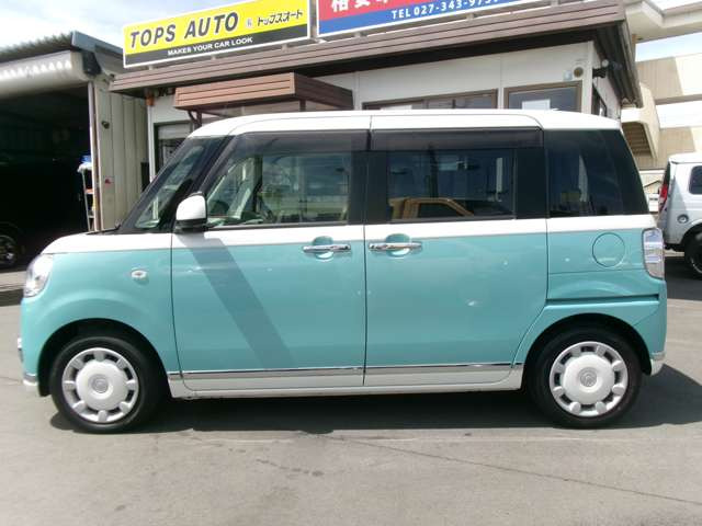 ムーヴキャンバスG メイクアップ SAII