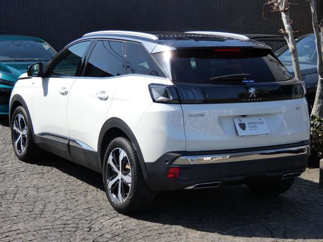 3008GT