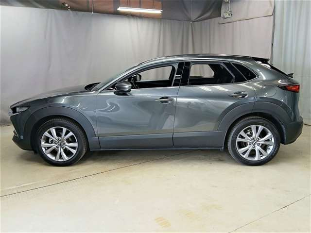 CX-302.0 20S