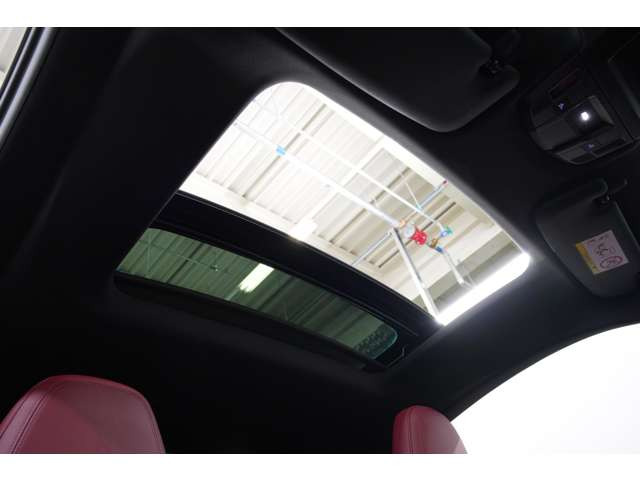 �d���X���C�h�K���X�T�����[�t�t���ŁA911�炵���X�|�[�c���\�ɉ����J�������y���߂܂��B�G�߂��킸�C�����ǂ��h���C�u���\�Ȏd�l�ł��B
