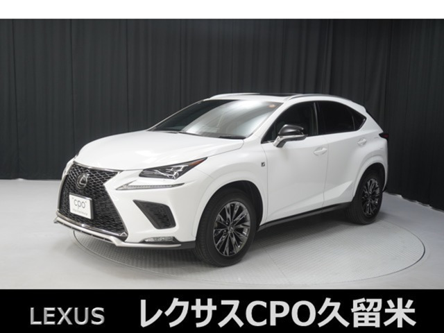 NX300 4WD