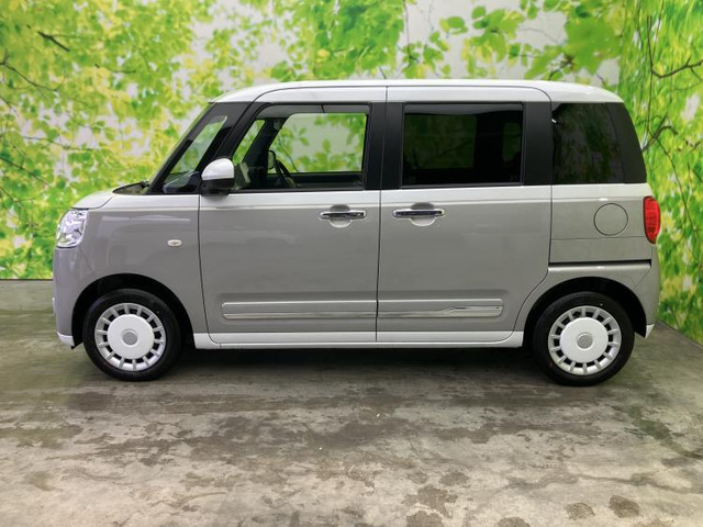 ムーヴキャンバスストライプス G