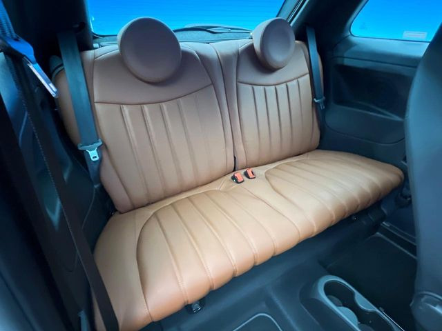 ���㕔���Ȃ��C�ɂȂ�悤�ȃL�Y�E�����ւ��蓙�A�傫�ȃ_���[�W�͂Ȃ��A�ǍD�ȏ�Ԃł��B