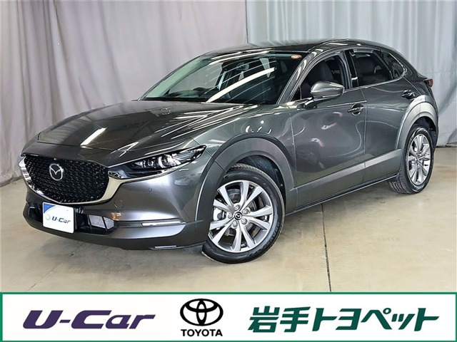 CX-302.0 20S