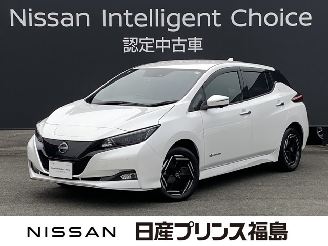 リーフe+ X