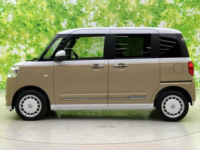 ムーヴキャンバスストライプス G