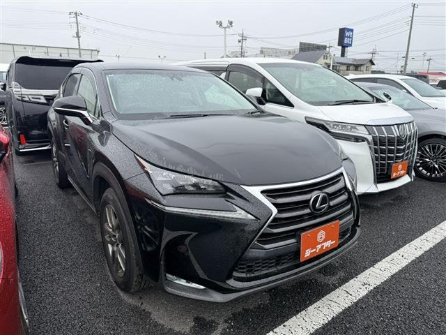 NX200t Iパッケージ 4WD
