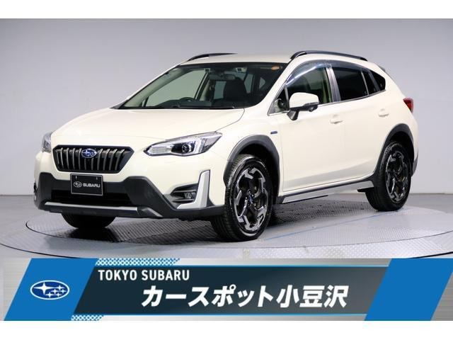 XV
