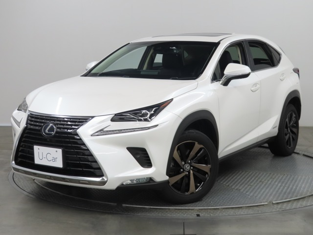 NX300h バージョンL 4WD