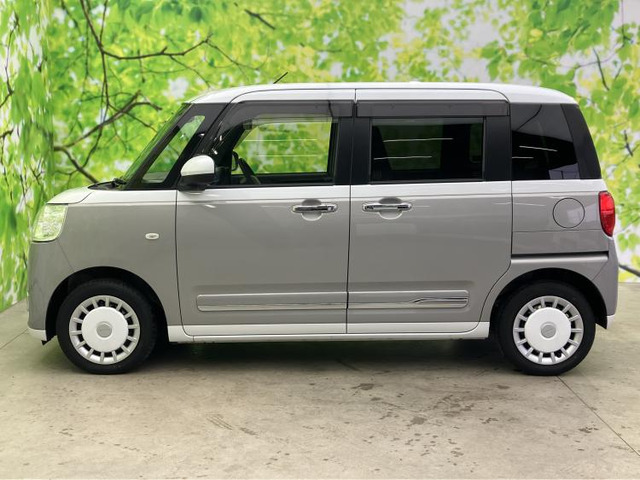 ムーヴキャンバスストライプス G