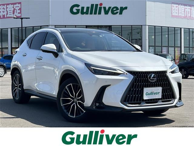 NX250 バージョンL 4WD