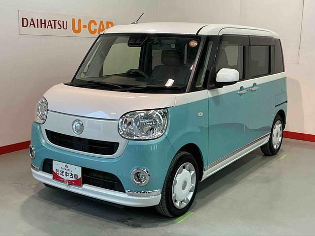 ムーヴキャンバスX リミテッド メイクアップ SAIII