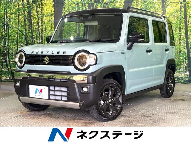 ハスラータフワイルド