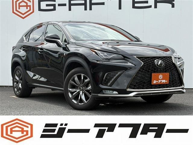 NX300 Fスポーツ
