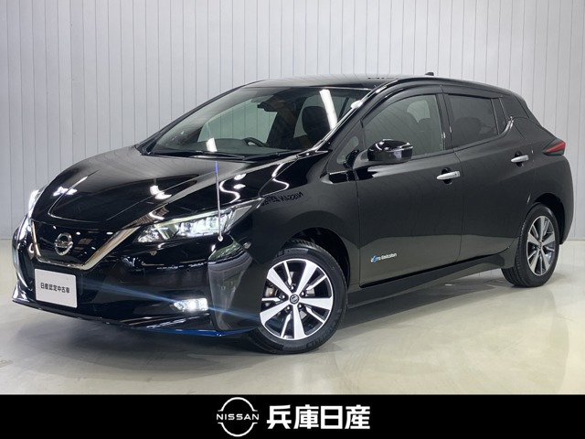 リーフe+ X