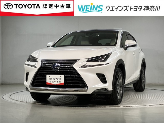 NX300h バージョンL